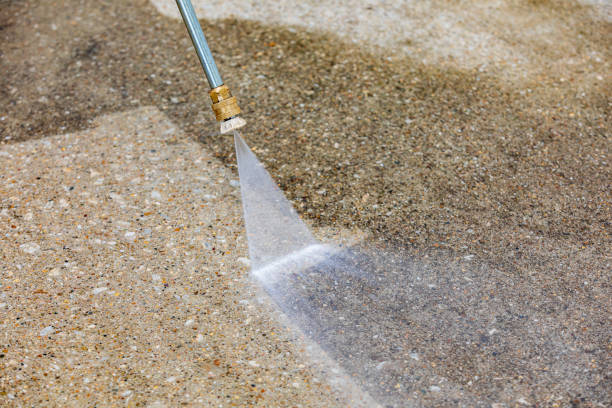 Best Pre-Holiday Cleaning  in Rden, WA