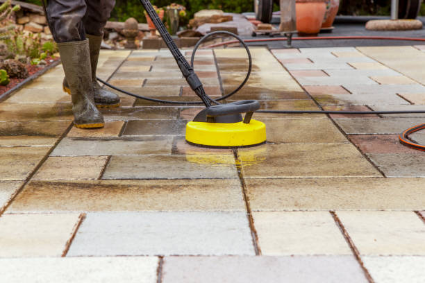 Best Roof Washing  in Rden, WA