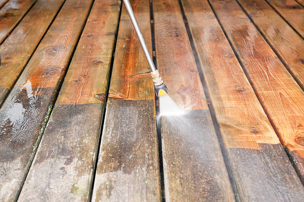 Best Animal Enclosure Cleaning  in Rden, WA